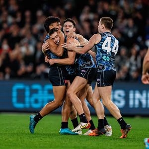 Image post by @carlton_fc on Instagram