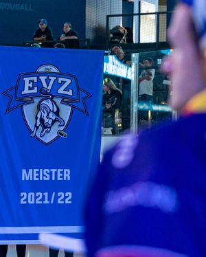 Image post by @official_evz on Instagram