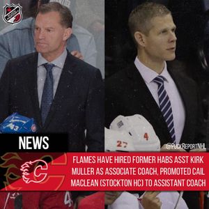 Image post by @puckreportnhl on Instagram