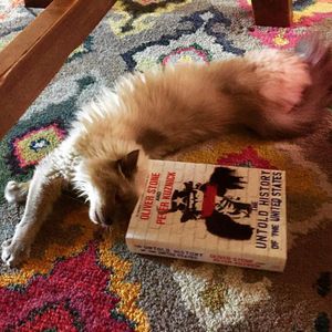 Image post by @gallerybooks on Instagram
