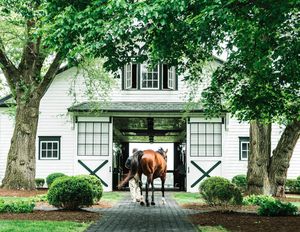Image post by @spendthriftfarm on Instagram