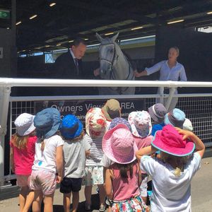 Image post by @australianturfclub on Instagram