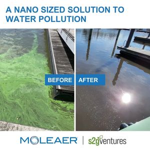 Image post by @moleaer on Instagram