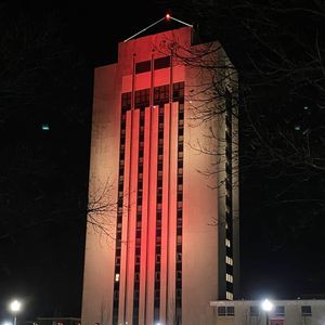 Image post by @niuhuskies on Instagram