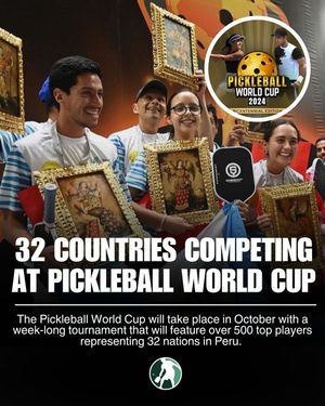 Image post by @thepickleballclinic on Instagram