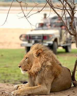 Image post by @chiawasafaris on Instagram