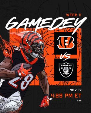 Image post by @bengals on Instagram