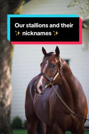 Video post by @spendthriftfarm on TikTok