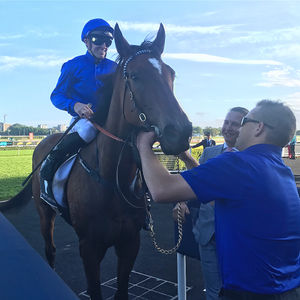 Image post by @australianturfclub on Instagram