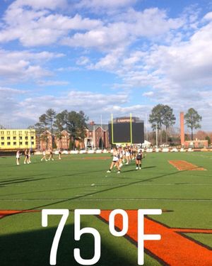 Image post by @gocamelslax on Instagram