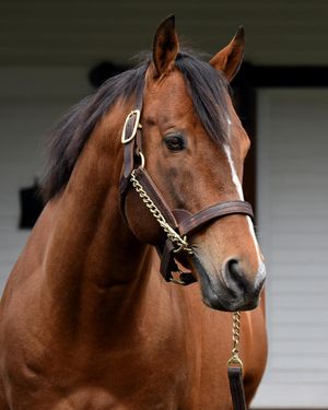 Image post by @spendthriftfarm on Instagram