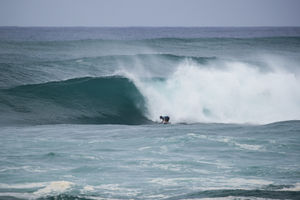 Image post by @wsl.qs on Instagram