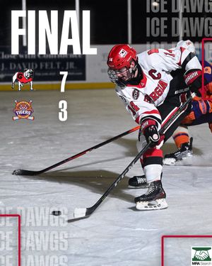 Image post by @UGAHockey on Twitter