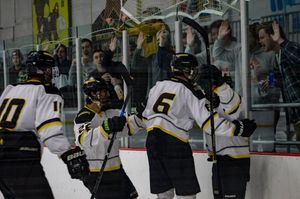 Image post by @mizzouhockey on Instagram