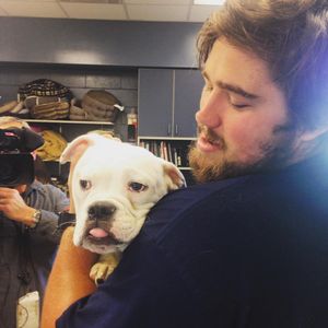 Image post by @animalplanet on Instagram