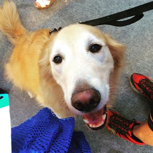 Image post by @amandakl on Instagram