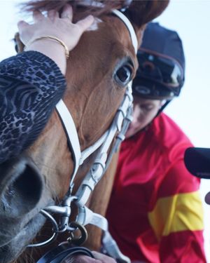 Image post by @australianturfclub on Instagram