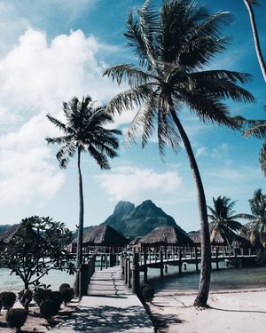 Image post by @kaikinibikinis on Instagram