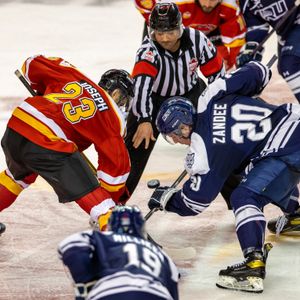 Image post by @ucalgarydinos on Instagram