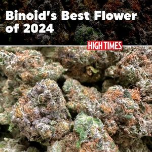 Image post by @hightimesmagazine on Instagram