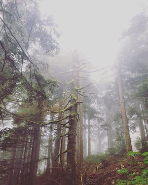 Image post by @tourismabbotsford on Instagram