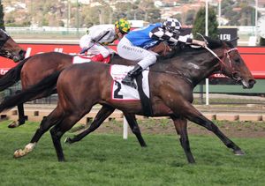 Image post by @australianturfclub on Instagram