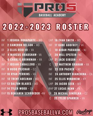 Image post by @PDGABASEBALL on Twitter