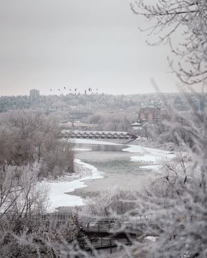 Image post by @cityofcalgary on Instagram