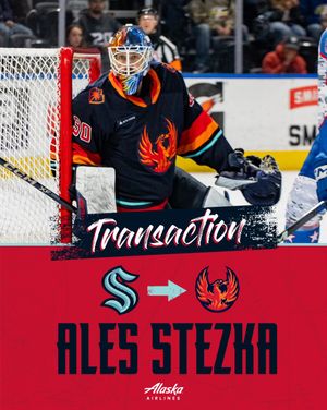 Image post by @Firebirds on Twitter