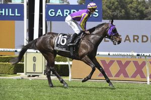 Image post by @australianturfclub on Instagram