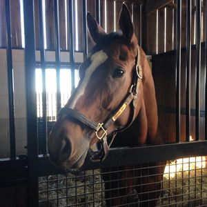 Image post by @margaux.farm on Instagram