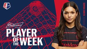 Image post by @nwsl on Twitter