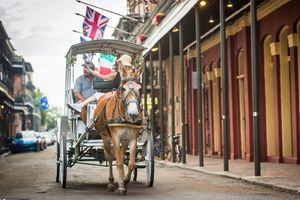 Image post by @sugarbowlnola on Instagram