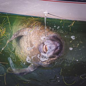 Image post by @toadfishoutfitters on Instagram