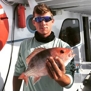 Image post by @daltonmauldin5 on Instagram