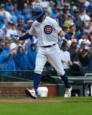 Image post by @cachorros on Instagram