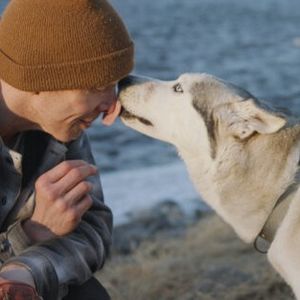 Image post by @spokhumanesoc on Instagram