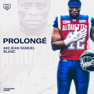 Image post by @mtlalouettes on Instagram