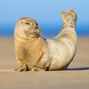 Image post by @animalplanet on Instagram