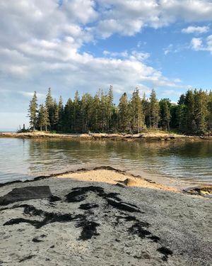 Image post by @themainemag on Instagram