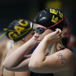 Image post by @gustieswimdive on Instagram