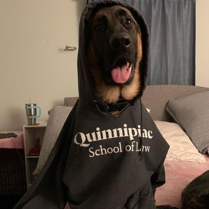 Image post by @quinnipiacu on Instagram