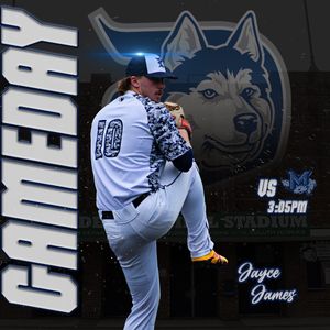Image post by @duluthhuskies on Instagram