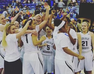 Image post by @lmurailsplitters on Instagram