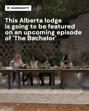 Image post by @curiocitycalgary on Instagram
