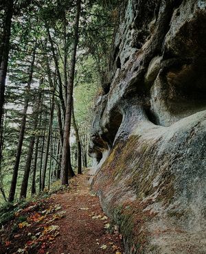Image post by @tourismabbotsford on Instagram