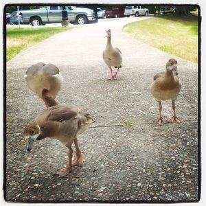 Image post by @txst on Instagram
