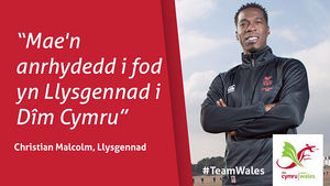 Image post by @team_wales on Instagram
