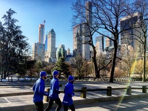 Image post by @hofstratrackxc on Instagram