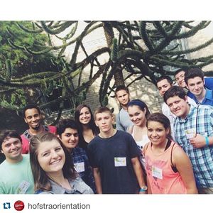 Image post by @hofstrau on Instagram
